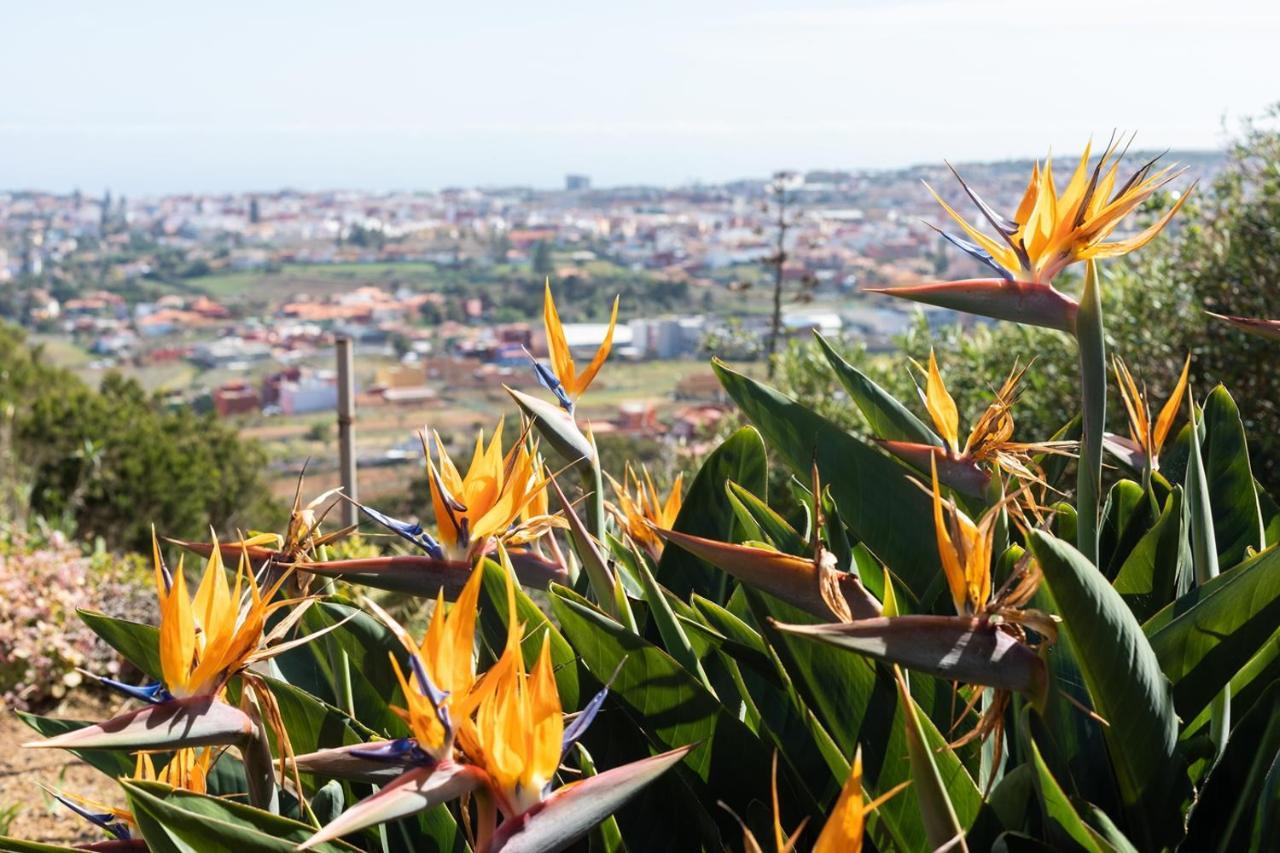 Live La Laguna Casita Vieja Exterior foto